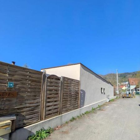 Ikigai Aparthotel Muhlbach-sur-Munster Exterior foto